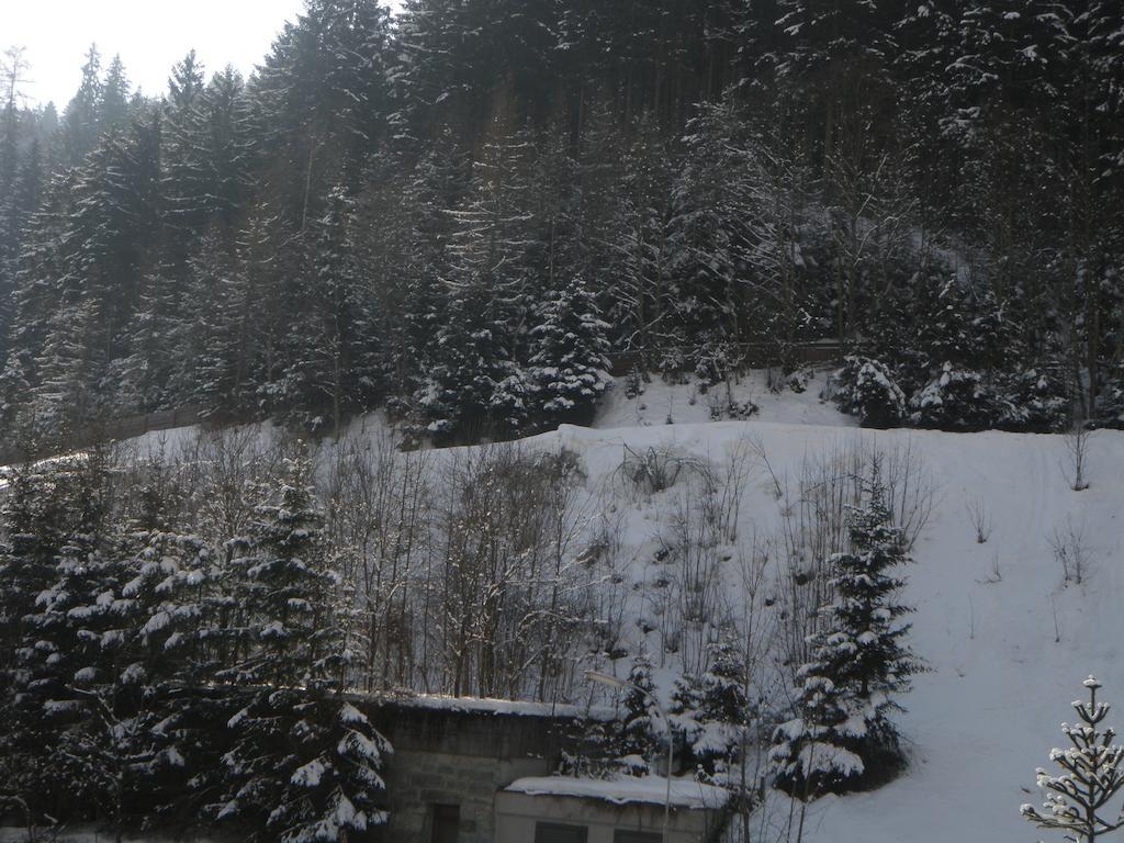 Appartement Schlosser Zell am See Dış mekan fotoğraf